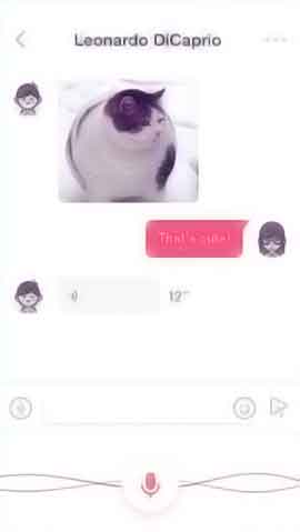 ddos接单平台
